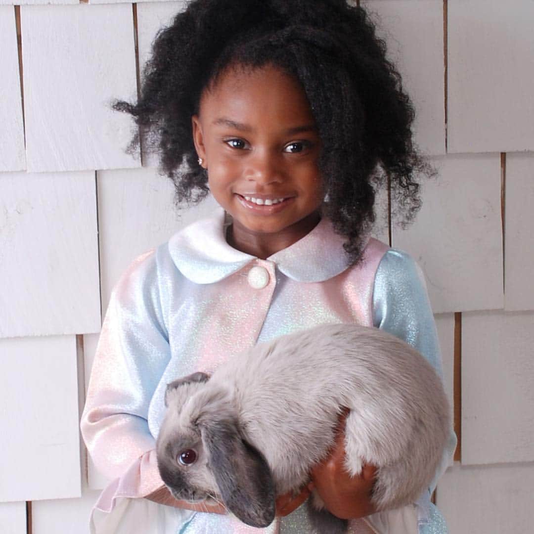 のインスタグラム：「🐇🐰🐰🐇」