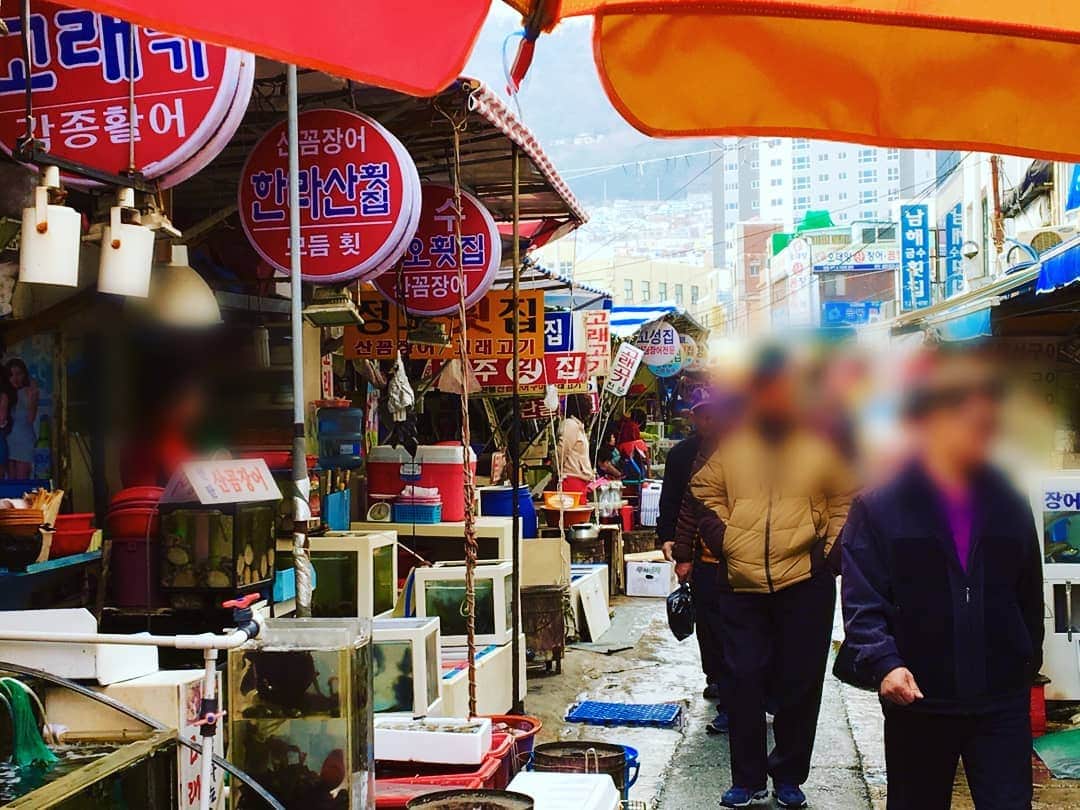 JR九州高速船株式会社さんのインスタグラム写真 - (JR九州高速船株式会社Instagram)「. 韓国の方が大好きなスタミナ料理「コムジャンオ：꼼장어」. 日本ではほとんど食べる事のないヌタウナギですが、韓国では塩の炭火焼や甘辛ソースのホイル焼きで頂きます😋 チャガルチ市場には韓国国内から沢山の人が新鮮なコムジャンオを食べに訪れるそうです。市場や市場周辺にはコムジャンオ専門店が数多く見られます💡 水槽で泳ぐヌタウナギを手早く捌いて料理してくれます。😆🎶 . まだ食べた事の無い方は是非チャレンジしてみてはいかがですか？コリコリした食感にハマってしまうかもしれませんね😊🍴 . . . #beetle_go #JR九州高速船 #ビートル #韓国 #釜山 #チャガルチ市場 #南浦洞 #コムジャンオ#ロンプク淳 #JR큐슈고속선 #비틀 #한국 #부산 #자갈치시장 #남포동 #꼼장어 #슬기네산곰장어 #해산물 #남포동맛집」4月22日 10時39分 - beetle_de_go