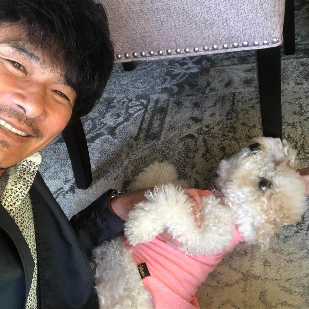 伊原剛志さんのインスタグラム写真 - (伊原剛志Instagram)「友人ん家の愛犬Hana。 癒される❗️」4月22日 10時39分 - tsuyoshi_ihara