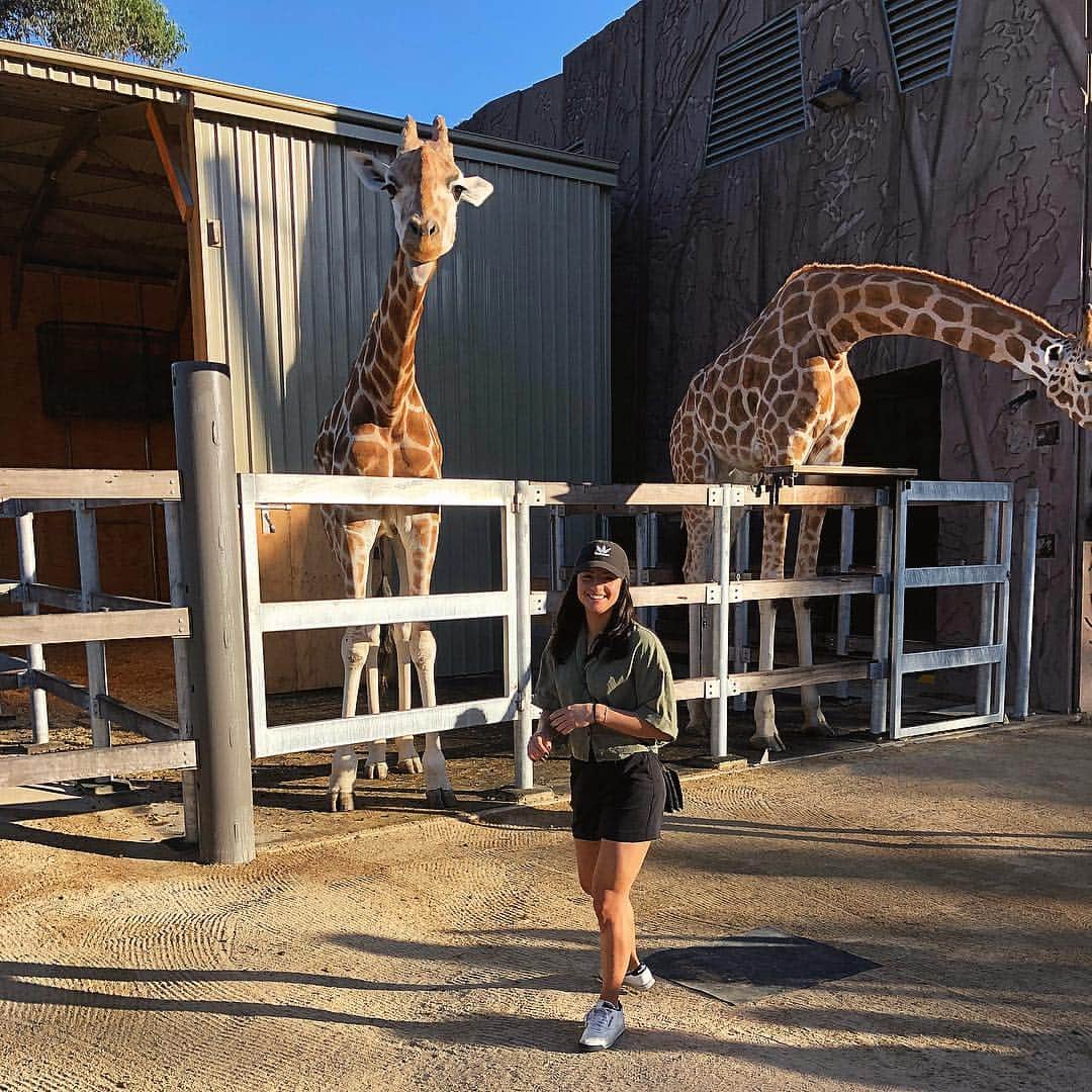 シャンテル・ケリーさんのインスタグラム写真 - (シャンテル・ケリーInstagram)「At 5”2, I often wonder what it’s like to see the world. The giraffe and I had a good chat about it. 🦒💚 #tarangazoo #roarandsnore #bestweekend #awkwardcandid」4月22日 10時46分 - chantelle_kerry