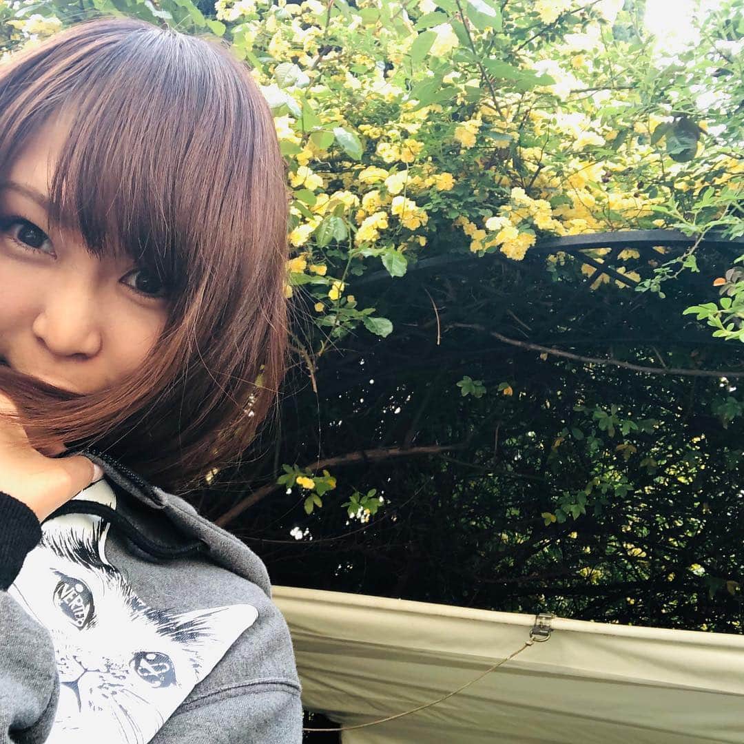 小野さゆりのインスタグラム