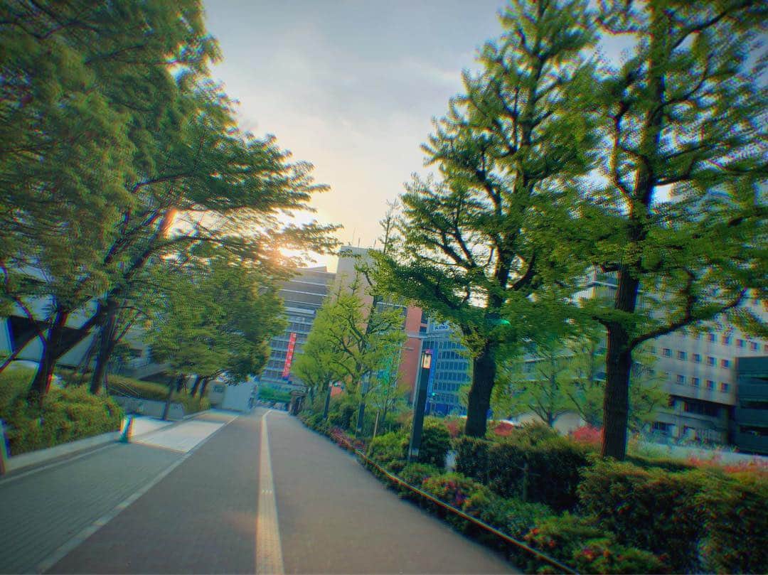長田成哉のインスタグラム：「早朝の新宿。 ビルが好き。「スゲーよなぁ。これ全部人間が建てたんだよなぁ」って考えながら撮った。笑」