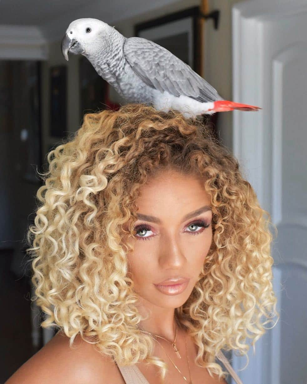 Jena Frumesさんのインスタグラム写真 - (Jena FrumesInstagram)「Happy Easter 🐣from “Happy” the African Grey & I💛 Can you believe they can live to up to 80😳! They are one of the most intelligent parrots & their speaking ability is impeccable, so they might clap back if you talkin sh** 👏🏽🦜😂 📸 @mrdeniro #AfricanGrey #HappyEaster (CURLY HAIR ROUTINE LINK IN BIO)」4月22日 11時48分 - jenafrumes