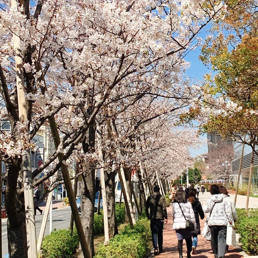 日本工学院のインスタグラム