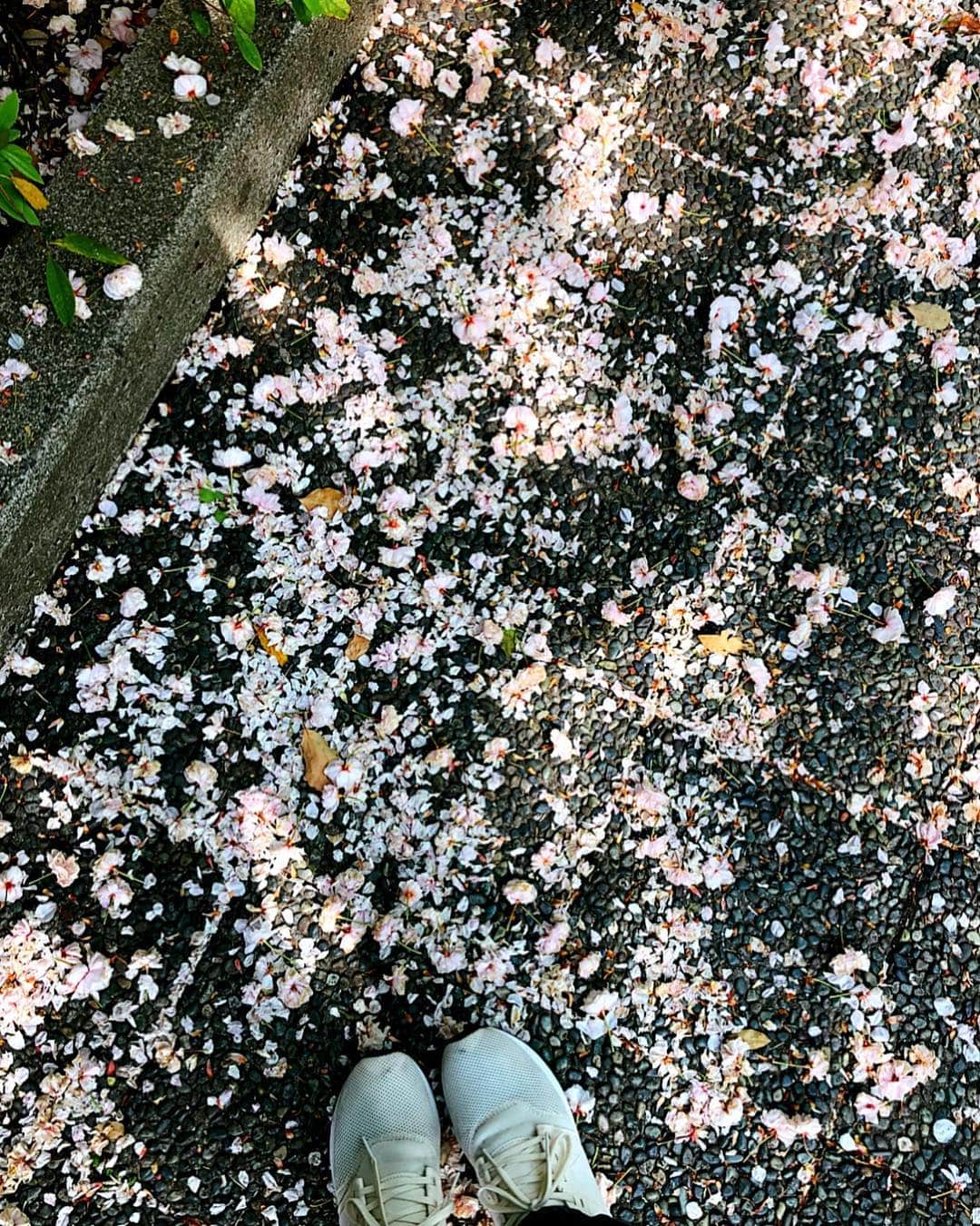 理絵のインスタグラム