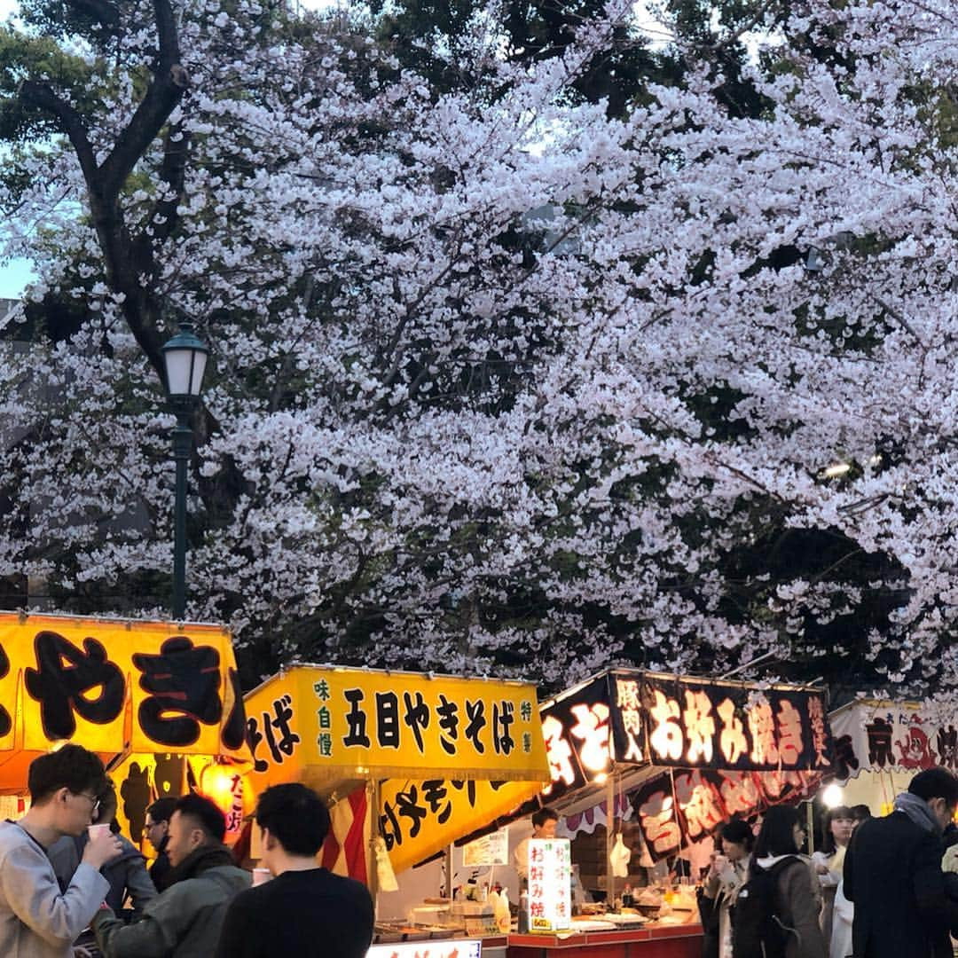 村山千代さんのインスタグラム写真 - (村山千代Instagram)「新年度も よろしくお願い申し上げます (#今更 ) #もう四月も終わる  #平成も終わる  #新しい時代へ  #令和もよろしくお願いします  ピンクに映える 真っ黒な服の女性(デカ気取り)と 仕事の合間に平成最後の桜を見物しました #平成最後  #夜桜  #東京の桜  #靖国神社  #靖國神社  #千鳥ヶ淵  #千鳥ヶ淵緑道  #アナウンサー  #桜 #サクラ  #さくら」4月22日 12時16分 - chiyocolate420