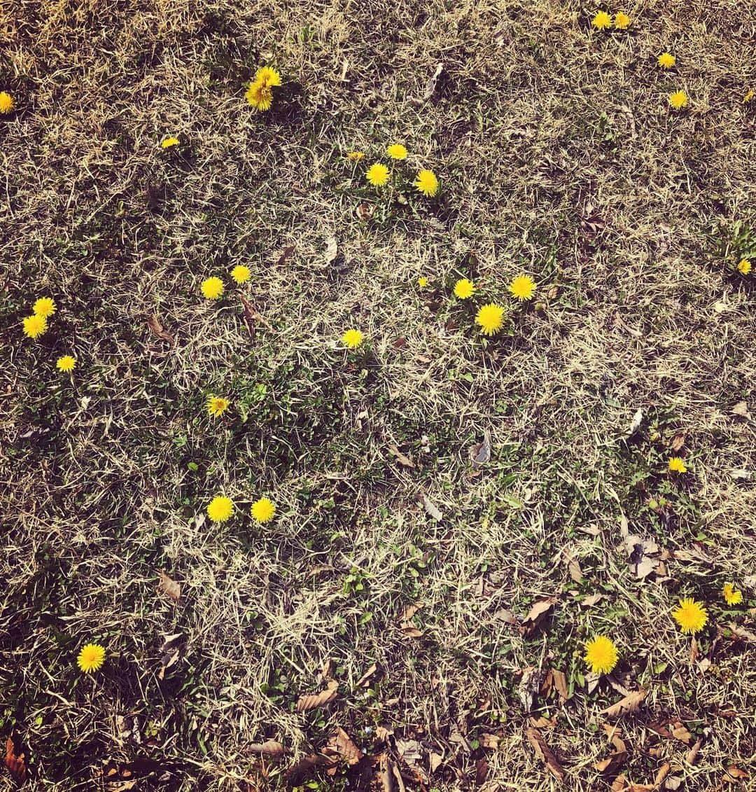 笛木優子さんのインスタグラム写真 - (笛木優子Instagram)「こんな生地ほしい。。。💛」4月22日 12時29分 - yukofuekiyumin