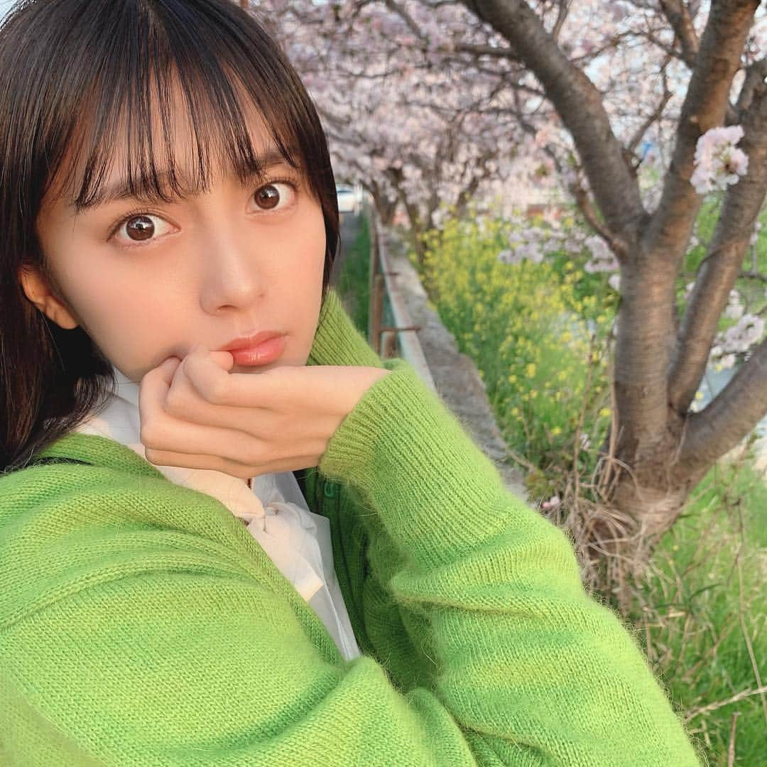 小山リーナさんのインスタグラム写真 - (小山リーナInstagram)「春色 まだ咲いてた〜〜！、🌸 春は緑、私の色です、(？)笑 この緑のカーディガンはお気に入りなんだ🌏 ・ ・ #春 #春コーデ #緑 #カーディガン #コーディネート #服 #私服 #ファッション #高校生 #桜 #fashion #ootd #green #blossom #spring #photo #follow #followme #me #cute #jk #jk2」4月22日 22時57分 - rina_koyama_box