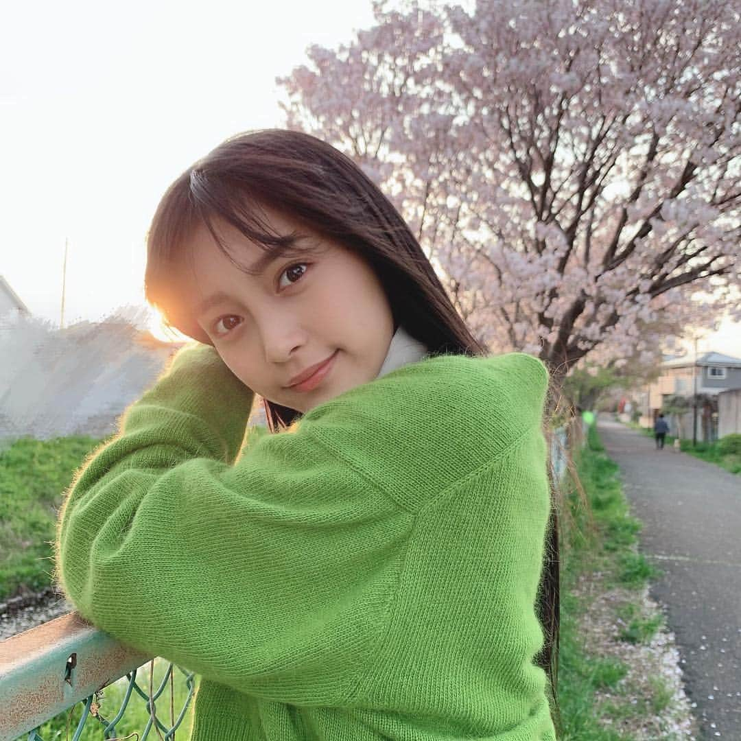 小山リーナさんのインスタグラム写真 - (小山リーナInstagram)「春色 まだ咲いてた〜〜！、🌸 春は緑、私の色です、(？)笑 この緑のカーディガンはお気に入りなんだ🌏 ・ ・ #春 #春コーデ #緑 #カーディガン #コーディネート #服 #私服 #ファッション #高校生 #桜 #fashion #ootd #green #blossom #spring #photo #follow #followme #me #cute #jk #jk2」4月22日 22時57分 - rina_koyama_box