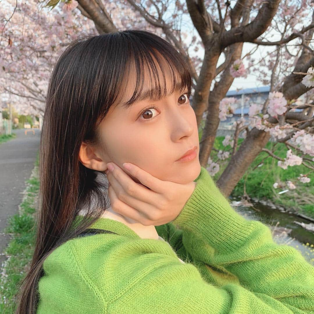 小山リーナさんのインスタグラム写真 - (小山リーナInstagram)「春色 まだ咲いてた〜〜！、🌸 春は緑、私の色です、(？)笑 この緑のカーディガンはお気に入りなんだ🌏 ・ ・ #春 #春コーデ #緑 #カーディガン #コーディネート #服 #私服 #ファッション #高校生 #桜 #fashion #ootd #green #blossom #spring #photo #follow #followme #me #cute #jk #jk2」4月22日 22時57分 - rina_koyama_box