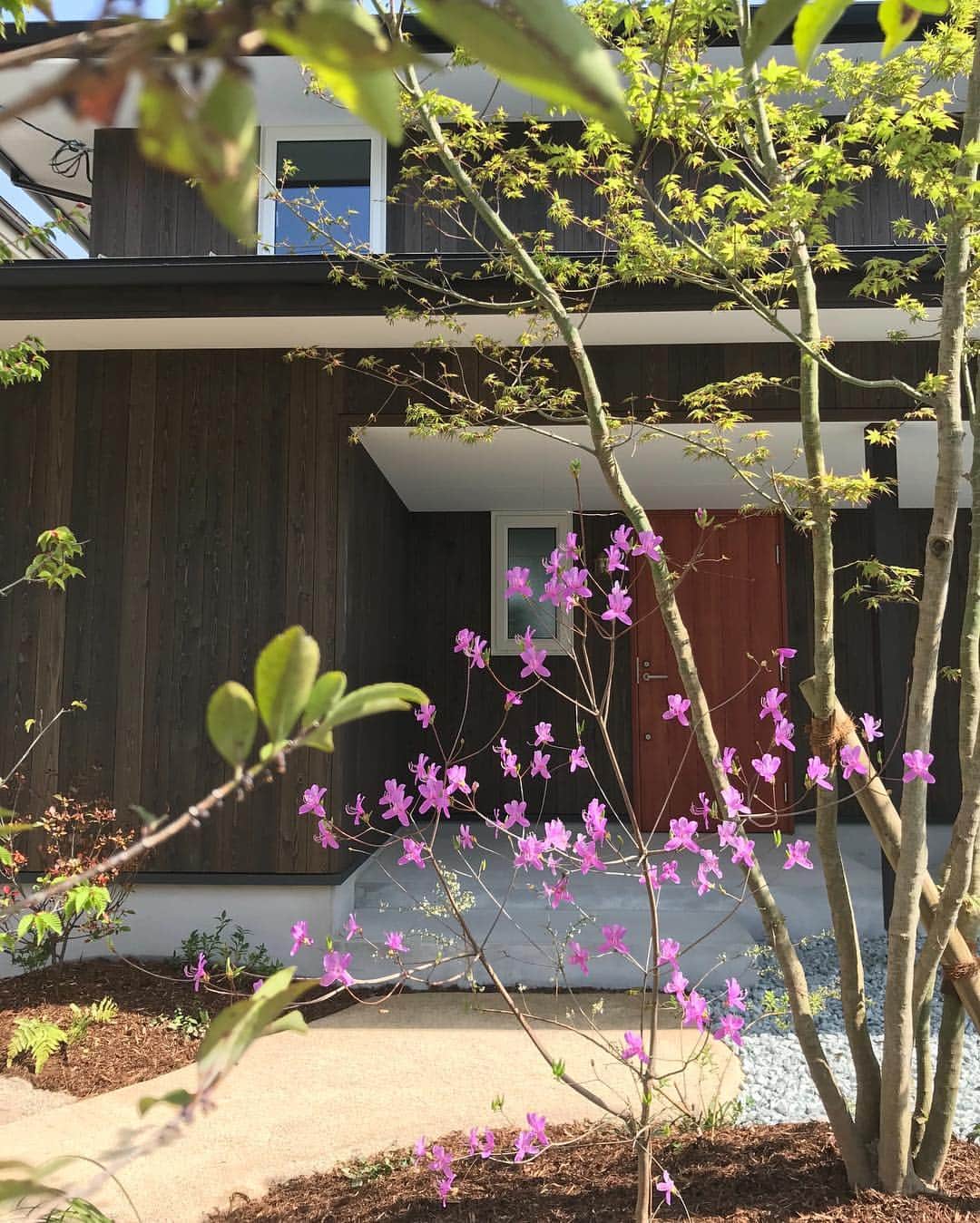シーエッチ建築工房 さんのインスタグラム写真 - (シーエッチ建築工房 Instagram)「. 宝塚市「子育てを楽しむ陽だまりの家」 ⠀⠀⠀⠀⠀ ⠀⠀⠀⠀⠀ シーエッチの家づくりは、 アプローチや植栽など 外構のプランも一貫して手掛けます。 ⠀⠀⠀⠀⠀ 家と植栽が引き立て合うアプローチ。 ⠀⠀⠀⠀⠀ 何気なく窓の外に目を遣った時に 見える風景の見え方にも 気を配りながら。  少しだけ坂道になった雑木林風の小道も 素敵に仕上がりました。  シンボルツリーのモミジは 若葉が芽吹き気持ちよさそうに そよいでいました。 ⠀⠀⠀⠀⠀ ⠀⠀⠀⠀⠀ ⠀⠀⠀⠀⠀ ⠀⠀⠀⠀⠀⠀⠀⠀⠀⠀⠀⠀ *__*__*__*__*__*__*__*__*__* ⠀⠀⠀⠀⠀⠀⠀⠀⠀⠀⠀⠀ ＼ 完成見学会開催！／ 「子育てを楽しむ陽だまりの家」 開催日：4月27日(土)・28日(日)・29（月祝） 時　間：10：30～16：00（最終受付15：30） 場　所：宝塚市 （詳細はご予約後お知らせします。） ⠀⠀⠀⠀⠀⠀⠀⠀⠀⠀⠀⠀ ⠀⠀ ⠀⠀ ⠀⠀ ──────────── 株式会社シーエッチ建築工房 兵庫県宝塚市仁川台76番地 0798-52-8863 https://www.ch-wood.co.jp ──────────── @ch_kenchiku ⠀⠀ ⠀⠀ #シーエッチ建築工房 #木の家 #注文住宅 #新築 #一戸建て #家づくり #住まい #暮らし #日々のこと #マイホーム #たからづかな生活 #ときめく日々がたからもの宝塚  #宝塚市 #箕面市 #工務店 #建築士 #自然素材 #国産材 #土間 #暮らしを楽しむ #シンプル #自然素材の家 #自然と暮らす #パッシブデザイン #こだわり #こどもと暮らす #季節を楽しむ #たためる椅子 #吉村順三 #igersjp」4月22日 23時20分 - ch_kenchiku