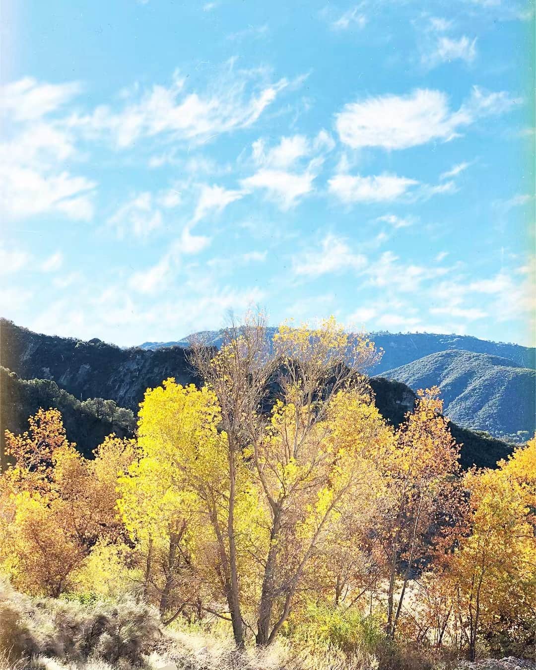 シービーズのインスタグラム：「Happy Earth Day 🌎 Today the SeaVees crew is cleaning up trash in our backyard of the Los Padres National Forest with @lpforestwatch . Check back on our story for highlights and ⬇️ for GIVEAWAY details:  Final Earth Month Challenge: No Single Use Plastics. Picking up food or eating out? Say no to plastic straws, plastic takeout containers, etc. and bring your own. Make sure to: 1. Share a post/story participating in this week’s challenge on IG  2.Tag @seavees + #seaveesearthmonth  4. Giveaway closes Saturday @ 12AM PST 6. Weekly winner announced on Sunday」