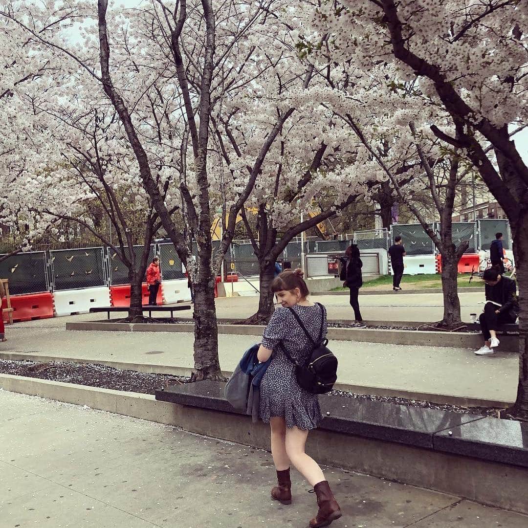 ブルックリン美術館さんのインスタグラム写真 - (ブルックリン美術館Instagram)「The sun is out, flowers are in bloom, and spring is serving major good vibes on our Plaza. Stop by for a final glimpse of our cherry blossoms 🌸 before they fall 🍃 then, tag your visit with #mybkm for a chance to be featured next. 📸 by recent visitors @scarlettroseturner @blair.the.maltipoo @cendzz @cjanestoddard @jessfg19 @joepit_addiskilla @maaaaakiko @yulkaaa @zharrell @float_for_fun_」4月22日 23時58分 - brooklynmuseum