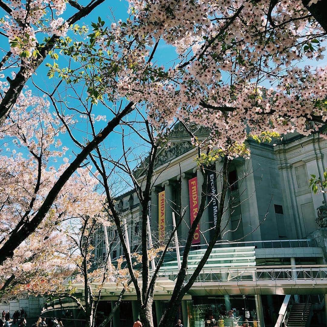 ブルックリン美術館さんのインスタグラム写真 - (ブルックリン美術館Instagram)「The sun is out, flowers are in bloom, and spring is serving major good vibes on our Plaza. Stop by for a final glimpse of our cherry blossoms 🌸 before they fall 🍃 then, tag your visit with #mybkm for a chance to be featured next. 📸 by recent visitors @scarlettroseturner @blair.the.maltipoo @cendzz @cjanestoddard @jessfg19 @joepit_addiskilla @maaaaakiko @yulkaaa @zharrell @float_for_fun_」4月22日 23時58分 - brooklynmuseum