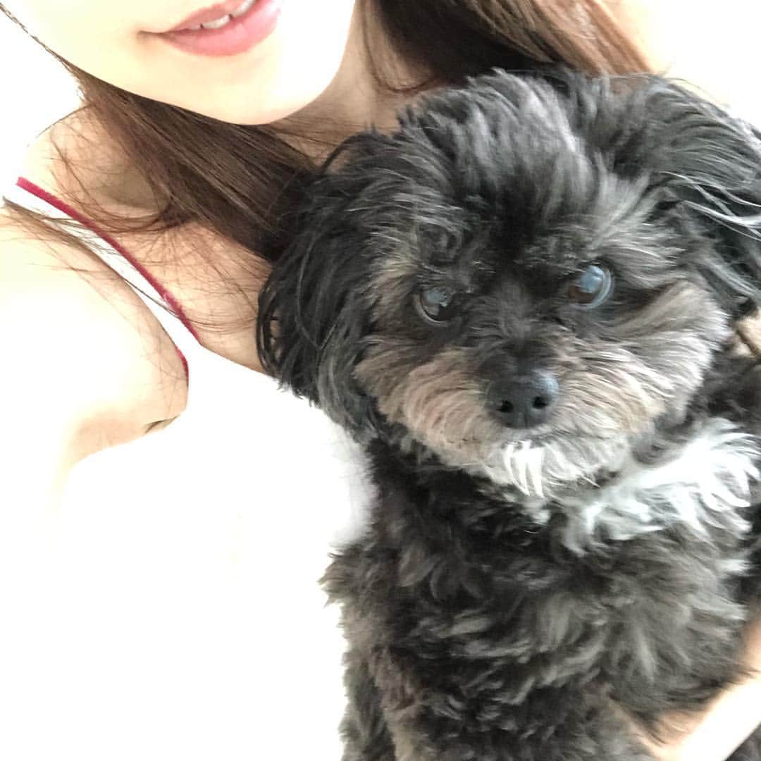 白木優子さんのインスタグラム写真 - (白木優子Instagram)「犬年齢は6歳だけど、人間だと40過ぎのオッさんを抱っこする🤣 かわいいから許す🤣❤️ #love」4月22日 15時11分 - yuko_shiraki_official