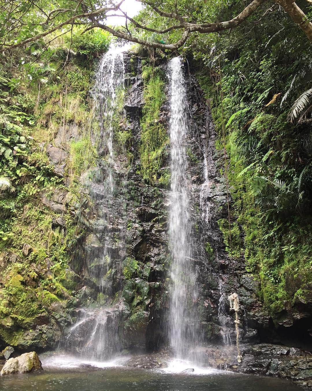 Be.okinawaさんのインスタグラム写真 - (Be.okinawaInstagram)「Enjoy river trekking in the refreshing water at Taa Falls in Ogimi Village. 📷:@hi_another #tatakifalls #taafalls #ogimivillage #nature #beautifulnature #okinawanature #naturelife #naturelovers #beokinawa #visitokinawa」4月22日 16時40分 - visitokinawajapan