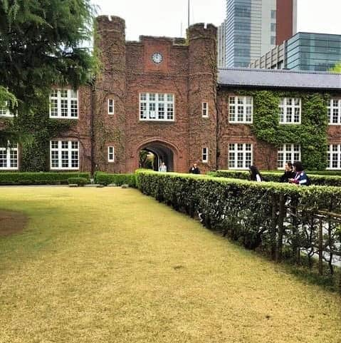 立教大学さんのインスタグラム写真 - (立教大学Instagram)「例の猫、この春初めての目撃写真が寄せられました😺 . #rikkyo #rikkyouniversity #ikebukuro #池袋キャンパス #立教 #立教大学 #猫 #cat #ネコ #猫好きな人と繋がりたい #ネコ部 #catstagram #catsofinstagram #cats#rikkyocat #立教猫  #立教ネコ #coregraphy #photography #ファインダー越しの私の世界」4月22日 16時41分 - rikkyouniv