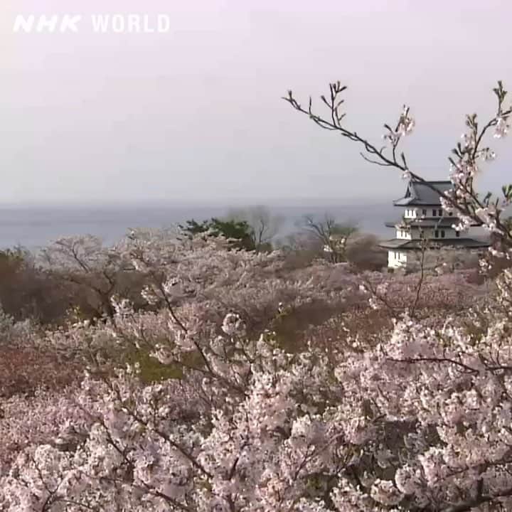 NHK「WORLD-JAPAN」のインスタグラム