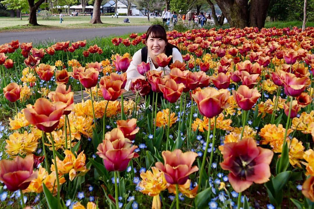 尾上彩さんのインスタグラム写真 - (尾上彩Instagram)「🌷🌼☀️🌈 #昭和記念公園 #マントルは返せなかった」4月22日 17時32分 - aya_onoe