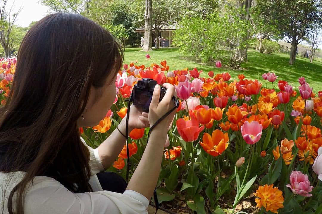 尾上彩さんのインスタグラム写真 - (尾上彩Instagram)「🌷🌼☀️🌈 #昭和記念公園 #マントルは返せなかった」4月22日 17時32分 - aya_onoe