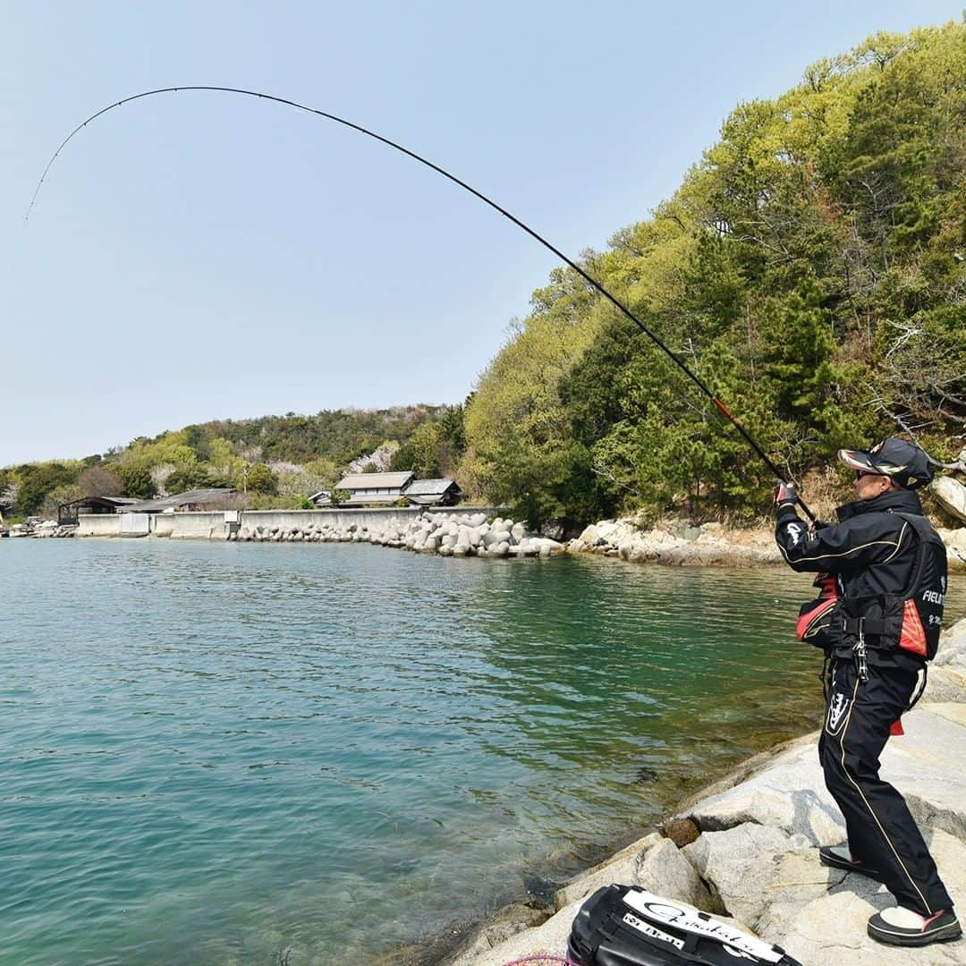 レジャーフィッシングさんのインスタグラム写真 - (レジャーフィッシングInstagram)「取材のひとコマ 香川県詫間沖にて  良型チヌを掛けて弧を描く『がま磯アルデナ』 釣り人はキングこと南康史さん ＃レジャーフィッシング　＃釣り　＃魚　＃アルデナ　＃がまかつ　＃チヌ　＃黒鯛　＃クロダイ　＃香川県　#LF取材のひとコマ」4月22日 17時32分 - leisurefishing