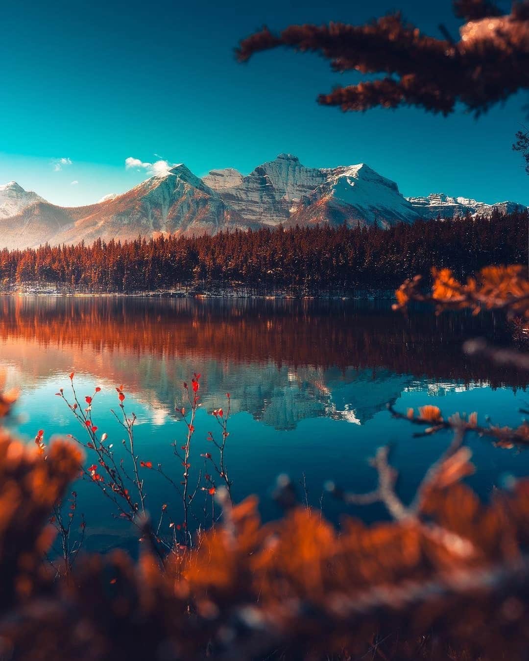 9GAGさんのインスタグラム写真 - (9GAGInstagram)「Tag a photography-loving mate! @voyaged recommends them to visit the Canadian Rockies if they haven’t already 😍 | By @calibreus」4月22日 17時37分 - 9gag