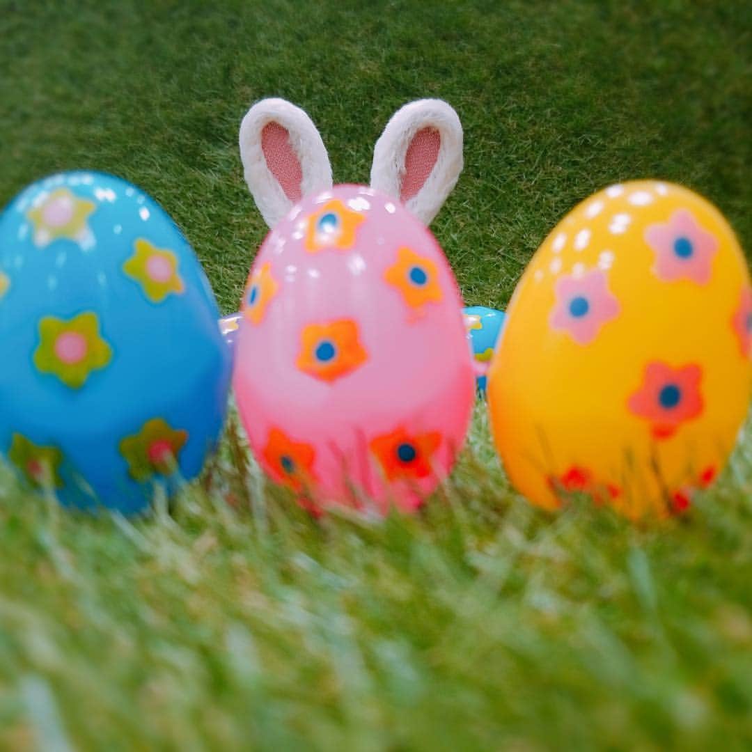 エチカのインスタグラム：「. イースターは、エチカのものっ🐰 . #エチカはどーこだっ #見つけられたら #いいことあるかもよ . . #エチカ #エチカの日常 #イースター #ハッピーイースター #イースターエッグ #イースターラビット #イースターフォト #Echika #Easter #HappyEaster #Easteregg #Easterrabbit #Easterphoto #🐰 #🐣」