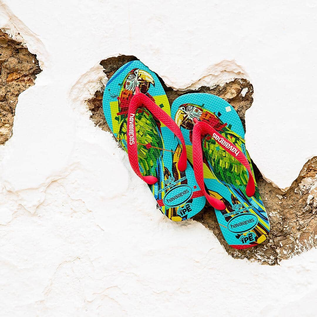 Havaianas Europeさんのインスタグラム写真 - (Havaianas EuropeInstagram)「Celebrate #earthday and help to protect the endangered species with this year’s Havaianas and @institutoipe partnership. Designed by #brazilian #streetartist @arlin_graff , these beautiful and colorful designs will bring the stunning animals of the #amazon to you. #havaianasart #havaianasipe」4月22日 18時39分 - havaianaseurope