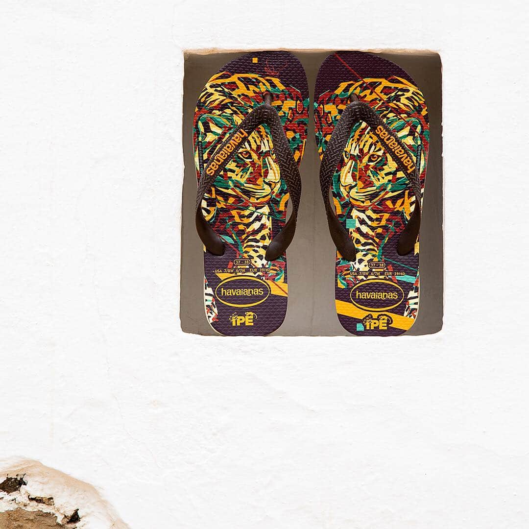Havaianas Europeさんのインスタグラム写真 - (Havaianas EuropeInstagram)「Celebrate #earthday and help to protect the endangered species with this year’s Havaianas and @institutoipe partnership. Designed by #brazilian #streetartist @arlin_graff , these beautiful and colorful designs will bring the stunning animals of the #amazon to you. #havaianasart #havaianasipe」4月22日 18時39分 - havaianaseurope