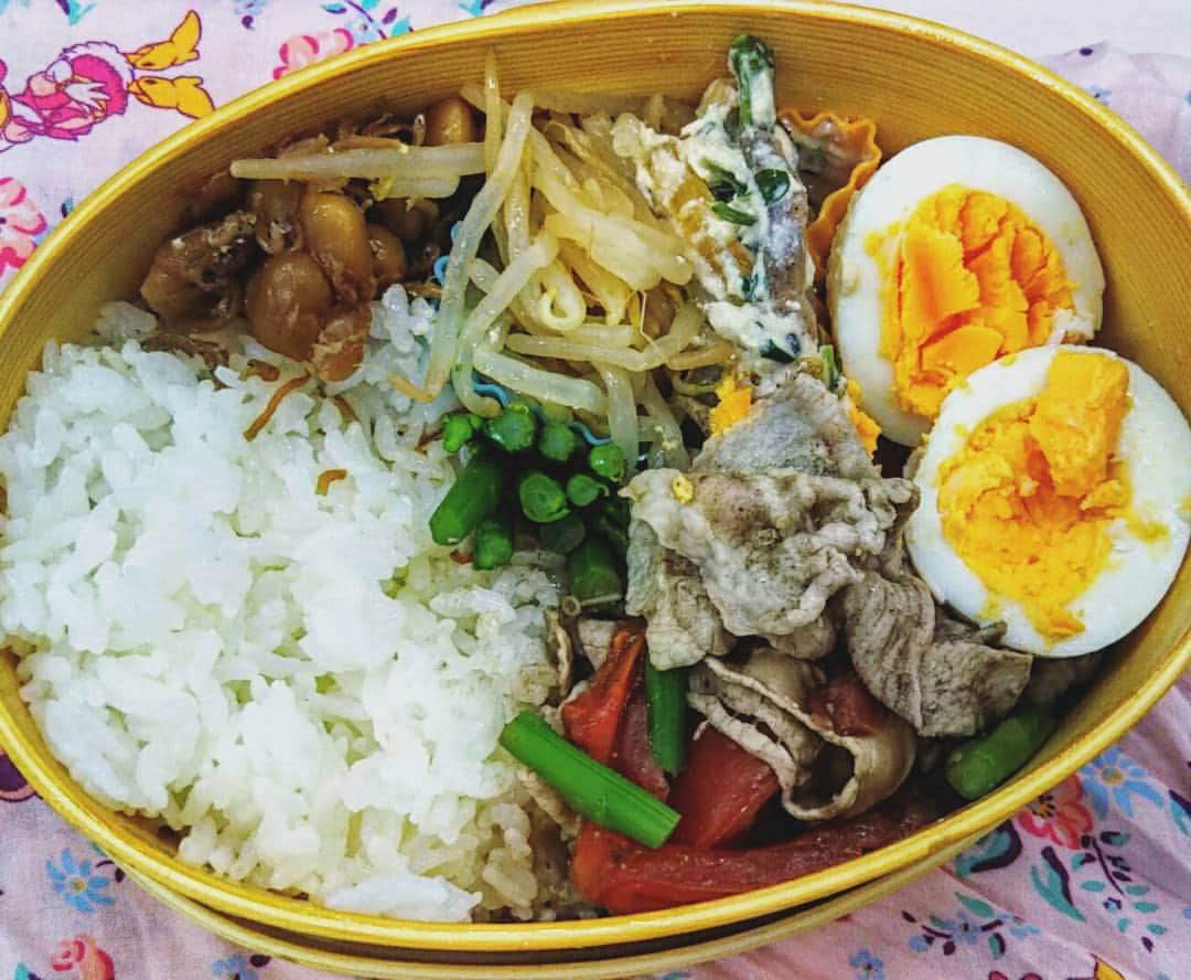 宮崎文子のインスタグラム：「体調回復！お弁当で快気祝い  #手づくり #クレソンの白あえ #ゆでたまご失敗 #黒ごましゃぶしゃぶ」