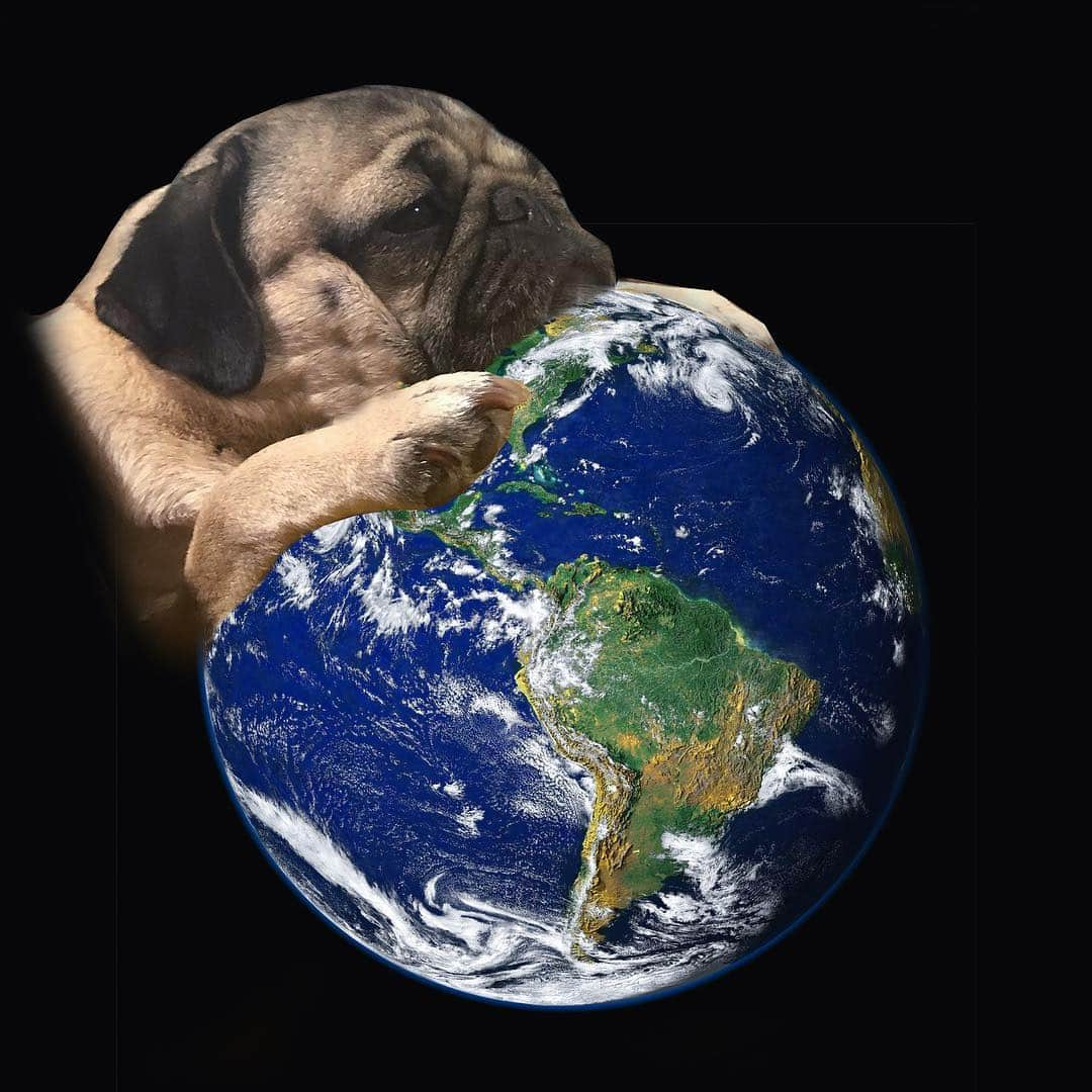 itsdougthepugさんのインスタグラム写真 - (itsdougthepugInstagram)「“I love u Earth” -Doug  Happy Earth Day 🌎」4月23日 0時07分 - itsdougthepug