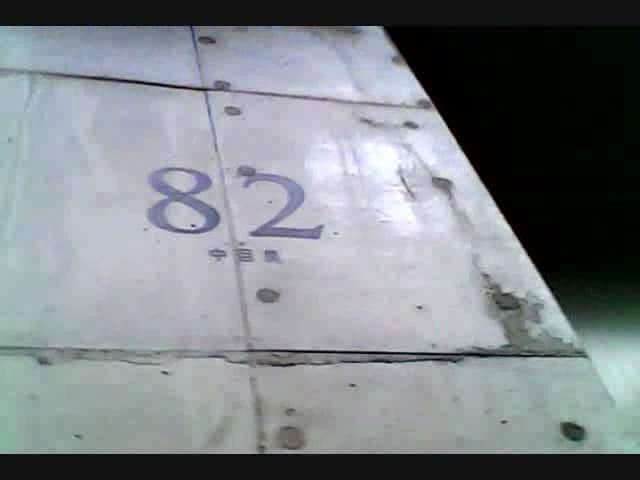 行徳智仁のインスタグラム：「lo-fiな春、散歩。」