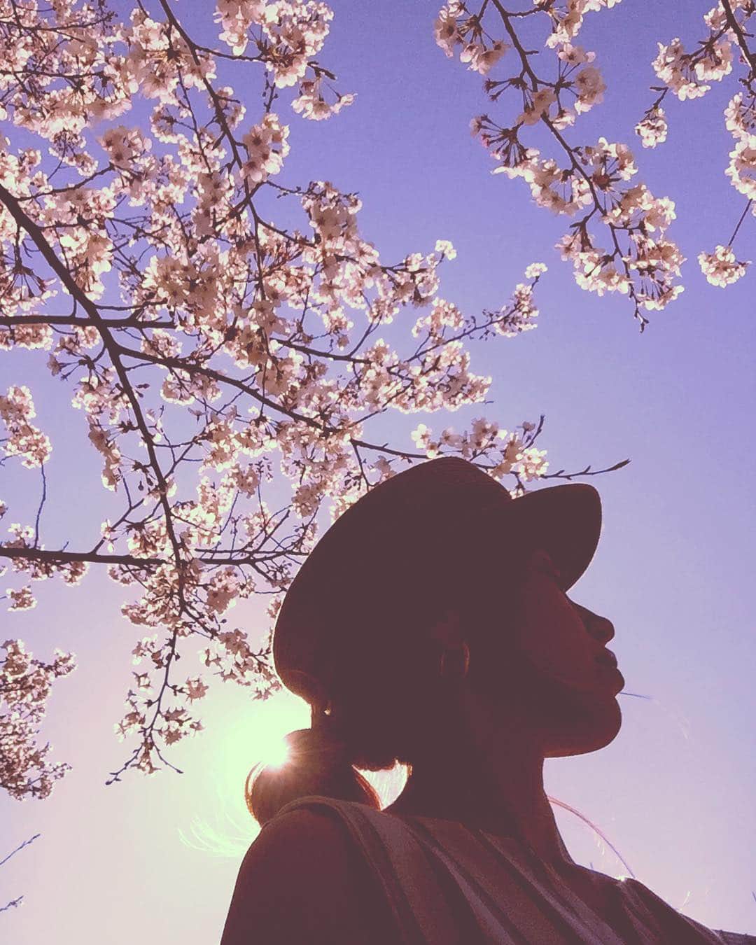 階上実穂さんのインスタグラム写真 - (階上実穂Instagram)「だいぶ前のはなしだけど。 桜の季節もいつのまにか終わっちゃったね😢  今年は見れないかと思ったけど旅行から帰ってきてギリギリ満開の桜が見れた♩¨̮⑅* #japan #tokyo #sakura #🌸 #cherryblossom #日本の桜 #満開 #また来年」4月22日 18時56分 - miho_ishigami