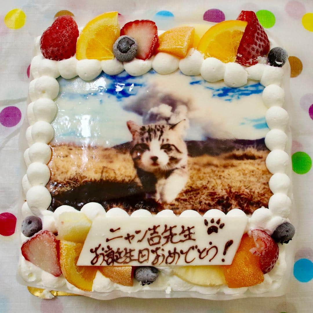 Nyankichi Noranekoさんのインスタグラム写真 - (Nyankichi NoranekoInstagram)「ぼくの記念すべき10歳のバースデーケーキは、にゃんと写真ケーキにゃり。 この写真ケーキを作ってくださったのは福岡県北九州市の「洋菓子のミロ」さん。 カチンカチンに凍らせて日本全国へ宅配してもらえるので、みなさんも大切な方へのプレゼントにいかがにゃり💗 「洋菓子のミロ」さんからお店のPRをいただいておりますのでご紹介いたします。  サプライズアイテムとしての写真ケーキを開発したきっかけは、カメラ好きの親父（河野社長）と一緒に写真とケーキを結びつけられないかと考えたのが発端でした。  3年間研究を重ね、ようやく完成！ 発売に踏み切ったのは、1999年10月からです。 すると途端に、写真ケーキへのマスメディアの取材合戦に火が付き、予想を絶する反響に驚きを隠せない状態でした。  メディアの中でも特にテレビでは、ズームイン朝、小宮悦子さんのニュース番組、 坂東英二さん登場のバラエティ番組に”世界にたったひとつの写るんです”のタイトルで放映され、 小宮さんらの写真ケーキがテレビの画面を彩りました。 地元の戸畑高校が春の選抜野球大会に出場したことから、 そのふるさと紹介でサプライズアイテムとして写真ケーキがアピールされ、町興しにもつながりました。  写真ケーキの開発は趣味が生んだ”アート”の実現といえます。  その思いを受け継ぎ、スタッフ一同日々「美味しくて、皆様に喜ばれる写真ケーキ」作りに励んでおります。 //////////////////////////////////// 〒８０４－００８２  福岡県北九州市戸畑区新池１－９－２  洋菓子のミロ　河野敏朗  TEL093-881-4658  FAX093-871-3617  http://www.shashin-cake.com  toshiro@shashin-cake.com  #猫 #고양이 #แมว #貓 #кошка #qata #chat #ニャンスタグラム #gato #喵星人 #ねこ部 #旅猫 #動物 #ねこのきもち #ニャン吉 #kawaii #保護猫 #美猫 #japan #猫写真 #ねこ #seekor #ネコ #旅貓 #誕生日 #birthday #写真ケーキ #洋菓子のミロ」4月22日 19時11分 - noraneko_nyankichi