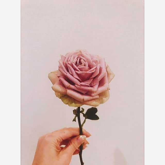ダレノガレ明美さんのインスタグラム写真 - (ダレノガレ明美Instagram)「可愛いお花🌸 家にお花があると幸せな気持ちになる☺️ 玄関にはカサブランカ リビングにはバラを飾りました🌹」4月22日 19時23分 - darenogare.akemi
