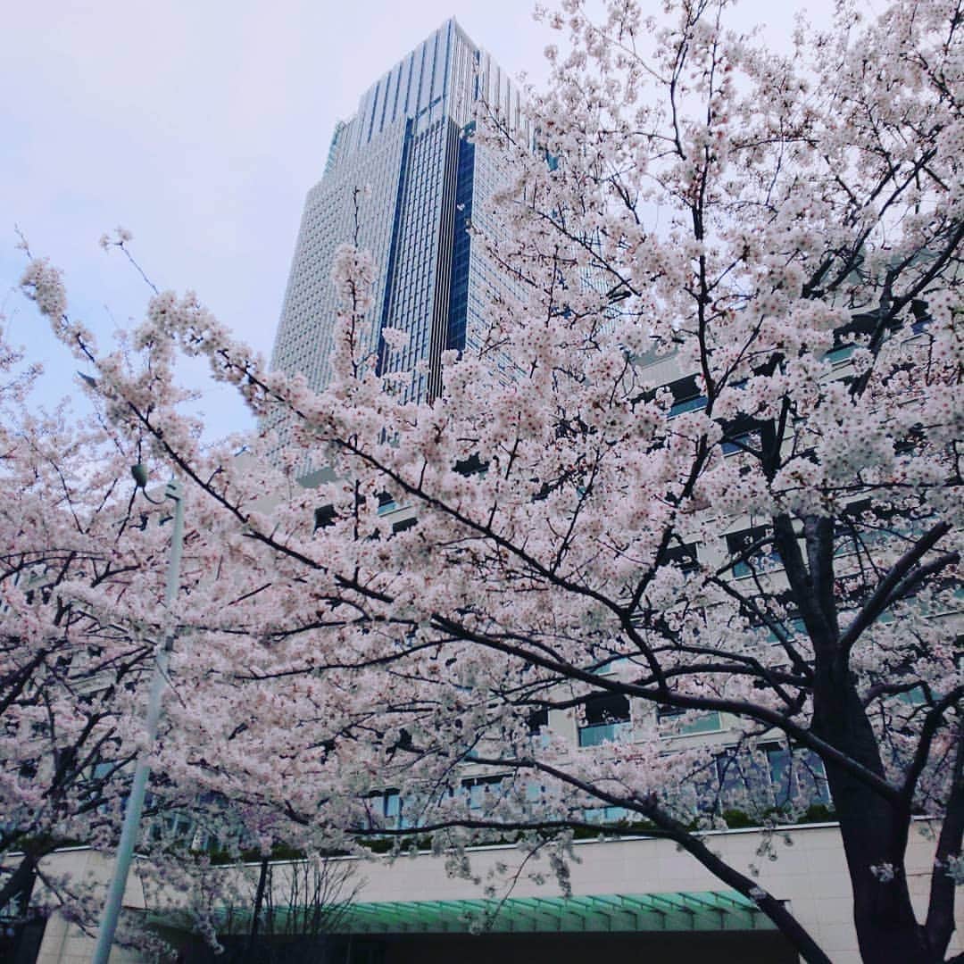 Woman.CHINTAIさんのインスタグラム写真 - (Woman.CHINTAIInstagram)「#久我山駅 （#kugayama  station in #Tokyo ） ・ 吉祥寺にも近いにしては家賃も抑えられ、治安も良い杉並区の街！ 神田川の桜も有名で夏にはホタル鑑賞もできるなど、自然も豊かな久我山は女性に例えると、桜に合わせてピンクコーデだけど落ち着いた雰囲気が大人な女性🙋💓 ・ ・ @woman.chintai では久我山駅周辺のお部屋も診断形式であなたにあったお部屋がわかっちゃう😘🏡 「Woman.CHINTAI」もしくは、「ウーマンチンタイ」で検索🔍 プロフィールのURLからもすぐに理想のお部屋が探せちゃいます✨ ・ Illustrated by @um7mr ・ ・ #WomanCHINTAI#部屋探し#CHINTAI #女性にオススメ #擬人化 #賃貸 #街 #1人暮らし #おしゃれ#女子#ファッションイラスト#fashionillutration#tokyofashion#ootd#ファッション#コーデ#今日のコーデ」4月22日 19時50分 - woman.chintai