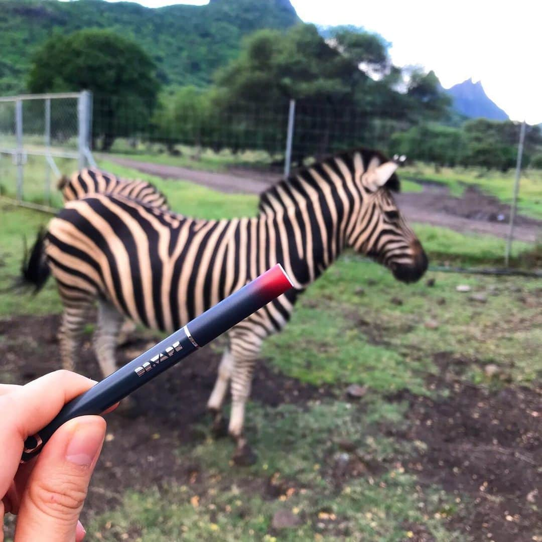 DR.VAPEさんのインスタグラム写真 - (DR.VAPEInstagram)「四輪バイクに乗ってモーリシャス島でリアルサファリ🦓 アフリカらしい緑がいっぱいの景色と動物達に終始ワクワク😆 * * 吸い殻が出ないDr.Vapeは人にも動物達にも優しいですね👍🏻 * * #DRVAPE#VAPE#RepublicofMauritius#Mauritius#RépubliquedeMaurice#maurice#safari#zebra#travelgram#travel #ドクターベープ#べイプ#モーリシャス島#モーリシャス共和国#モーリシャス#サファリ#シマウマ#アフリカ#動物#世界旅行#健康#旅好きな人と繋がりたい#禁煙#禁煙グッズ#タバコ#禁煙したい#旅好き#動物好きな人と繋がりたい#花好きな人と繋がりたい」4月22日 20時05分 - dr.vape_official