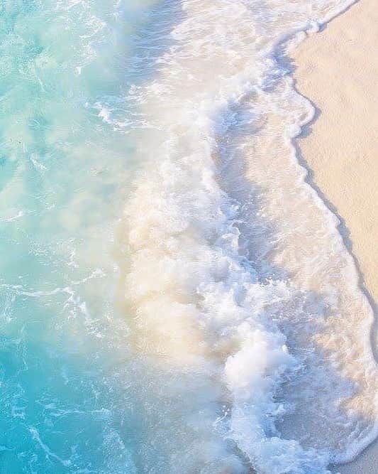 ジャマンピュエッシュのインスタグラム：「The power of sea waves and the mystery of the marine life have inspired Jamin Puech SS19 collection - Deep Sea Secrets.  #jaminpuech #sea #beach #inspiration」
