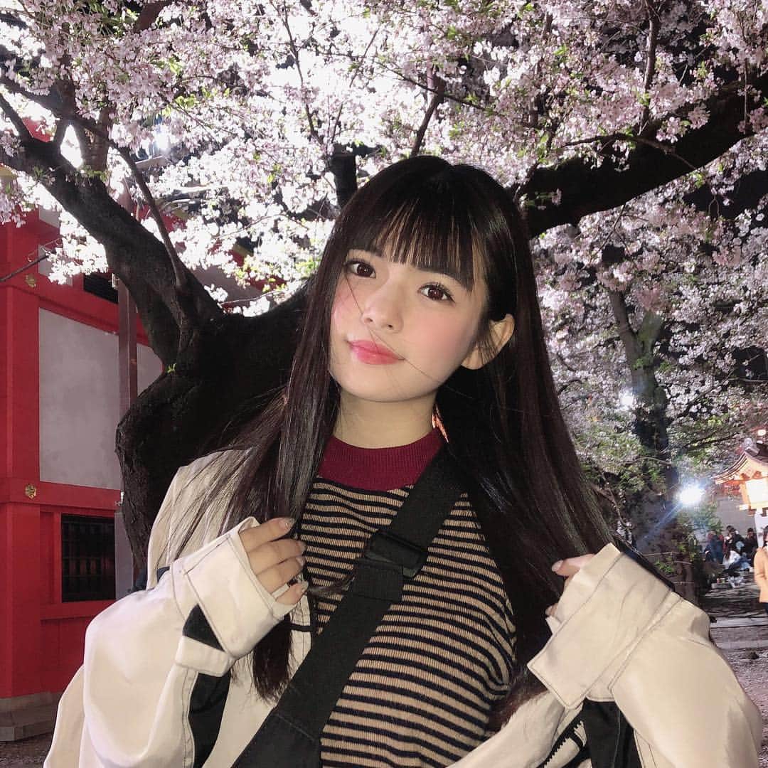 望月朱音  さんのインスタグラム写真 - (望月朱音  Instagram)「来年次の桜咲く時何してるんだかなあ  #桜  #さくら #なんかフラッシュで撮ると雰囲気変わる」4月22日 20時52分 - motizuki_akane