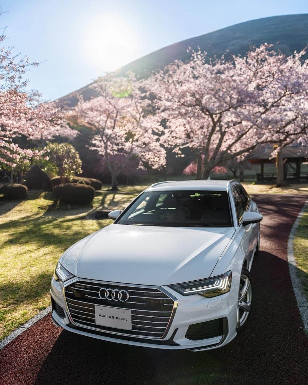 アウディ ジャパンさんのインスタグラム写真 - (アウディ ジャパンInstagram)「新しいAudi A6 Avantのボディに描かれるシャープなエッジと鋭い眼光が、春風にやさしく揺れる枝の下できらめきます。 この儚さと力強さのコントラストが、これまでも、これからも幾度となく繰り返される「桜の季節」を、特別で忘れられないものにします。  #Audi #A6 #AudiA6 #Audijapan #桜 #sakura #ドライブ #伊豆　#MomentswithAudi #Audigramm #carporn」4月22日 20時59分 - audijapan