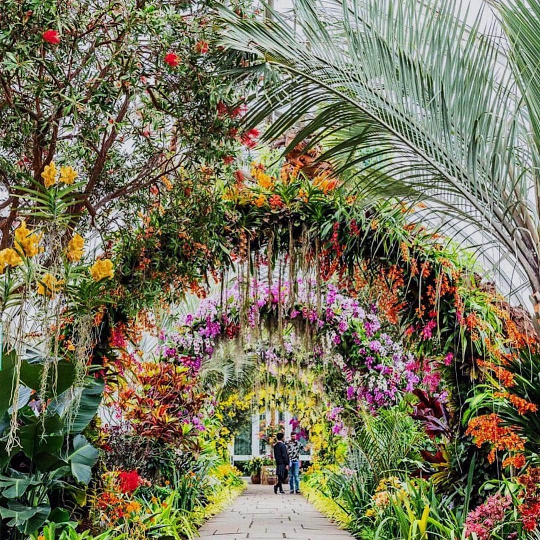 barneysnyofficialさんのインスタグラム写真 - (barneysnyofficialInstagram)「Happy #EarthDay! Take a pause from the hustle and bustle of city life to appreciate Mother Nature’s beauty at the New York Botanical Garden’s Orchid Show on display through the end of the month. 💐#BNYCityGuide  RP: @nybg」4月22日 21時13分 - barneysny