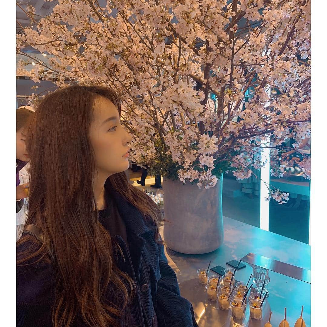 板野友美さんのインスタグラム写真 - (板野友美Instagram)「もう殆ど桜は散ってしまったけど 最後の桜に出会えました🌸」4月22日 21時43分 - tomo.i_0703