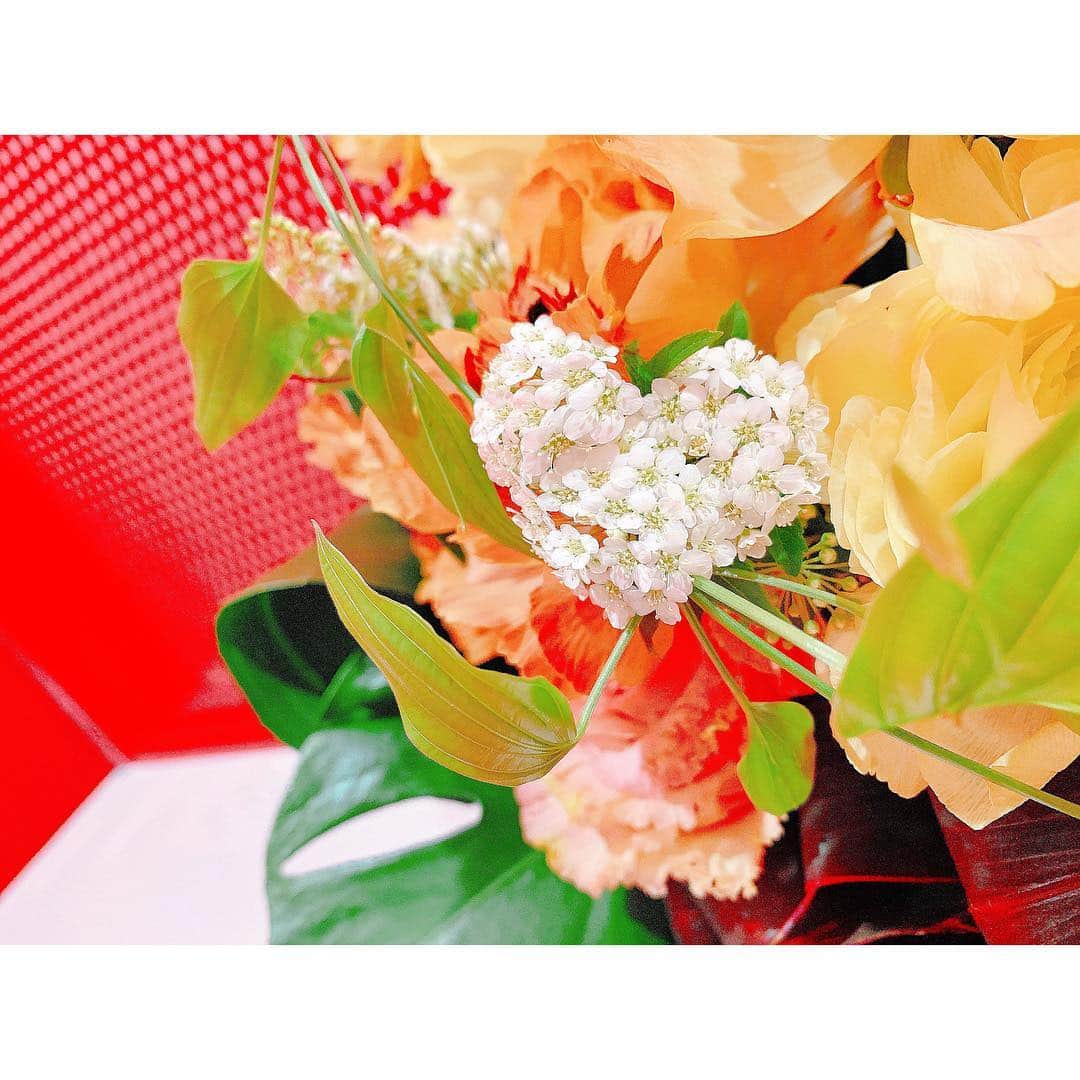 馬嘉伶さんのインスタグラム写真 - (馬嘉伶Instagram)「🍵 見て見て 「❤️」の形になってる😳 . #flower #heart #beautiful #love #thankyou #💜」4月22日 21時55分 - macyacyarin