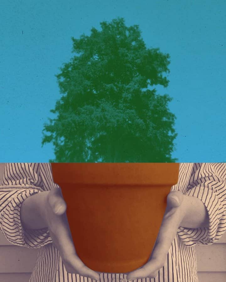 Chobaniのインスタグラム：「It starts with a seed. Check out our IG stories to see how Chobani is committed to sustainability, bettering of our food system, and protecting our planet. Art by @erik.winkowski 🌎🌳 #EarthDay」