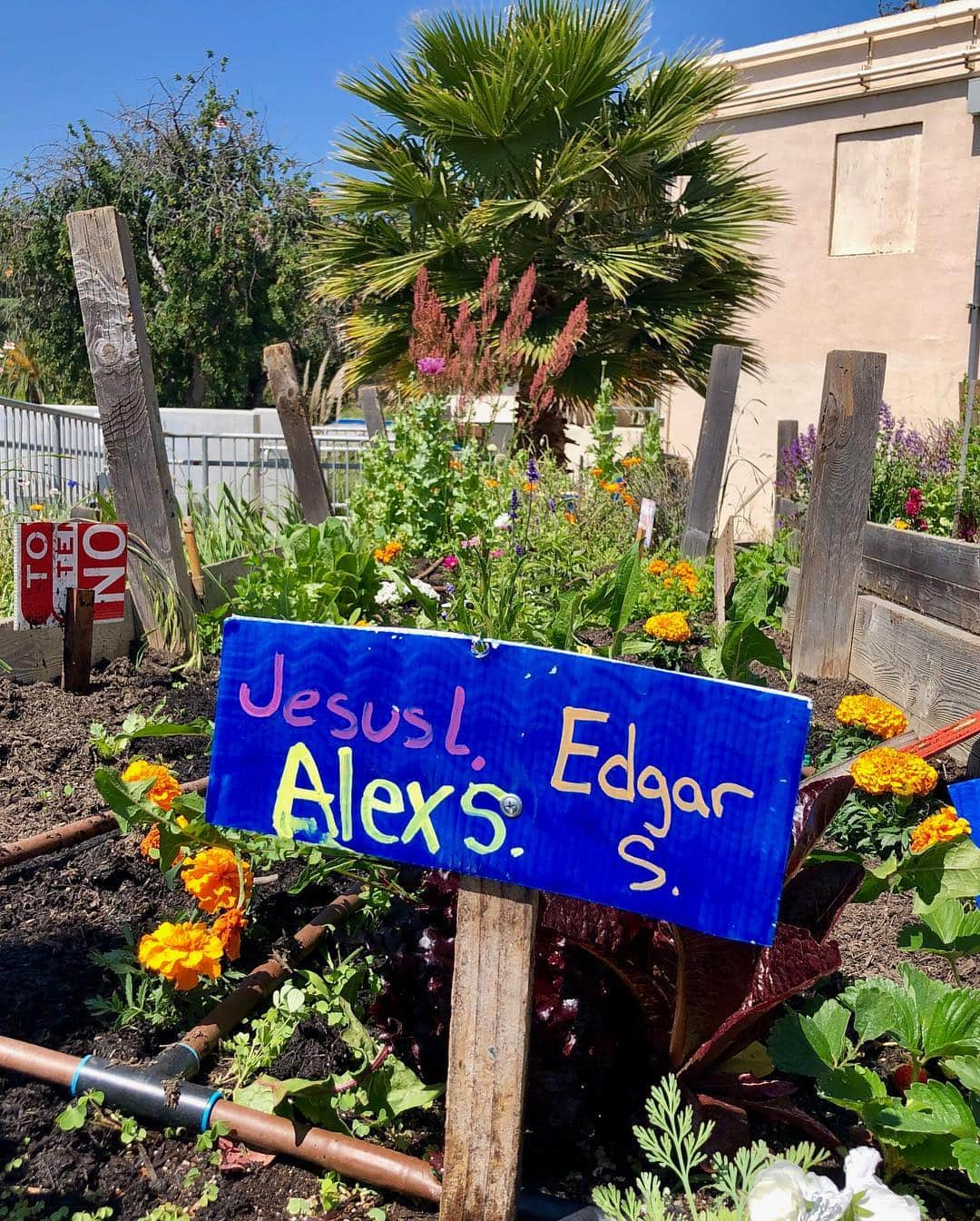 ランス・バスさんのインスタグラム写真 - (ランス・バスInstagram)「On #EarthDay we like to get dirty! Speaking of dirty.. here’s a Dirty Pop Quiz: Why am I putting lady bugs and worms into these gardens?? Our @green4ema school garden program is so special to me. Watching these kids learn about what we eat and how we grow our food is so inspiring. They will pass this knowledge forward to their future family and friends. Growing your own food has a direct link to health, climate change, and even better test scores! Happy Earth Day everyone! And thank you to our sponsors @kellogggarden  @roccosweho and @citynationalbank for all that they do to help these students. ❤️ 🐛🐣🥗🍓🥒🍋🥕🥦🐞」4月23日 8時21分 - lancebass