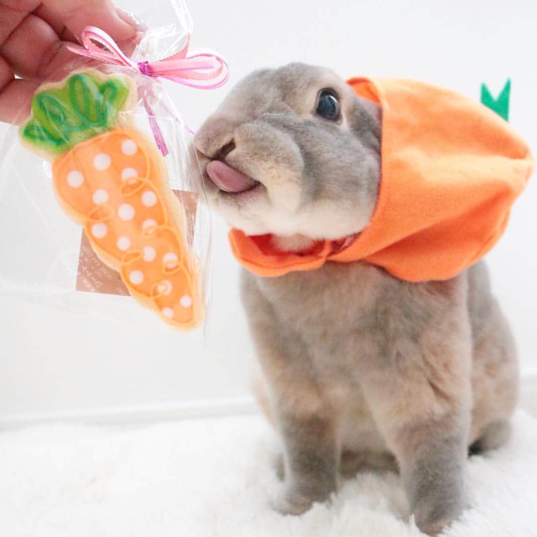Kayoのインスタグラム：「🥕♡🥕♡🥕 にーんじん食べたい にーんじん食べたい」