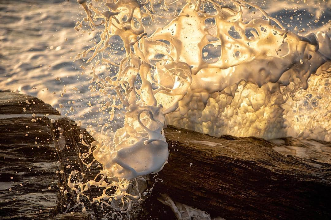 アンジー・ペインさんのインスタグラム写真 - (アンジー・ペインInstagram)「A burst of foamfetti to celebrate the day. • • • • • #earthday」4月23日 8時27分 - angelajpayne