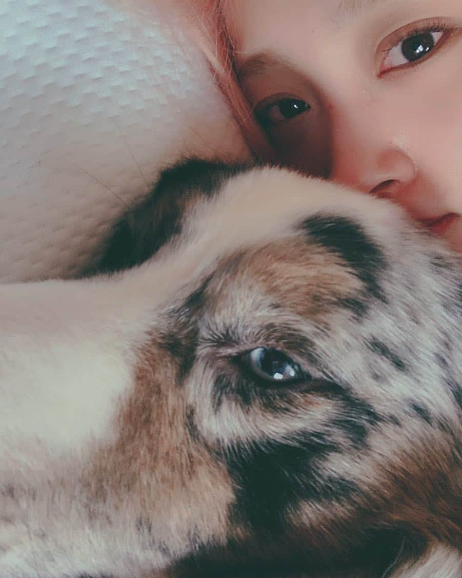 チョン・ニコルさんのインスタグラム写真 - (チョン・ニコルInstagram)「Good morning Duke🐶 #njDuke」4月23日 9時02分 - nicole__jung