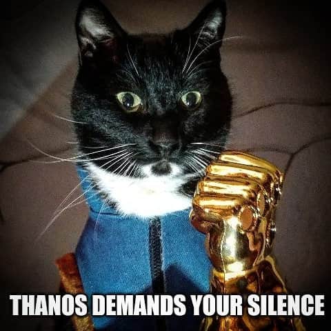 猫コスプレさんのインスタグラム写真 - (猫コスプレInstagram)「Reminder: Spoilers might start appearing on the internet in a few hours, and just like before... #ThanosDemandsYourSilence  #AvengersEndgame #Thanos #CatCosplay」4月23日 9時09分 - cat_cosplay