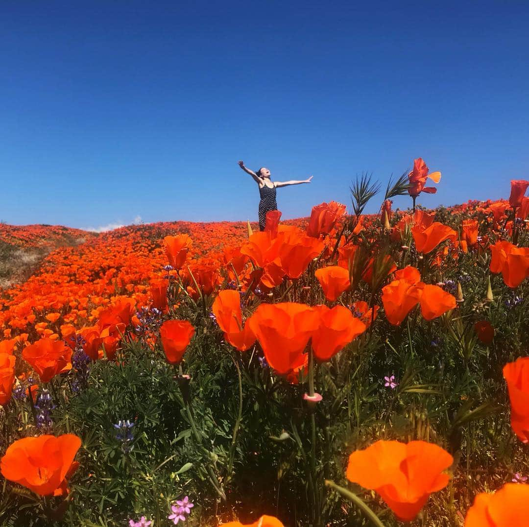 ジェシカさんのインスタグラム写真 - (ジェシカInstagram)4月23日 0時21分 - jjrabone